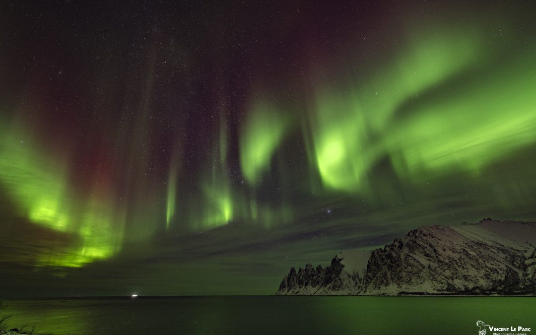 Norvege